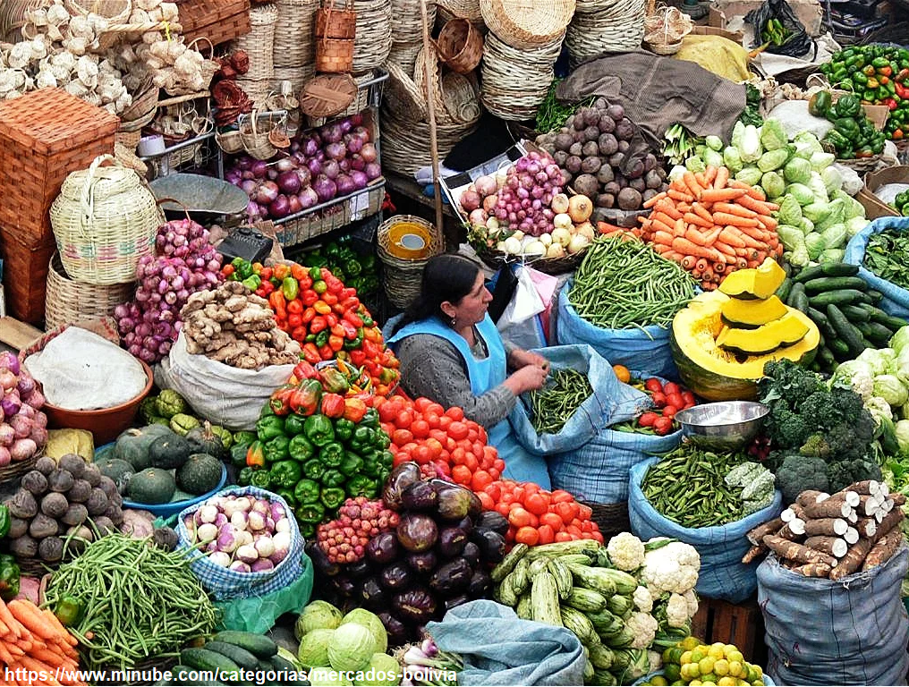 Iniciamos la "Evaluación de Mercados 2026" para el Programa Mundial de Alimentos, con la aplicación de la metodología del Índice de Funcionalidad de Mercados (IFM)